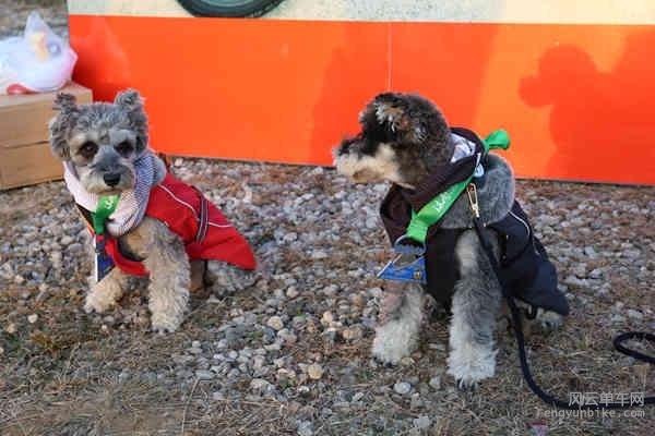 5D-161029 163347.jpg