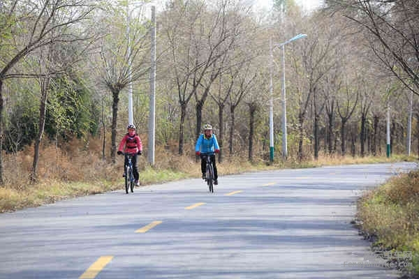 老学生-161029 100939.jpg