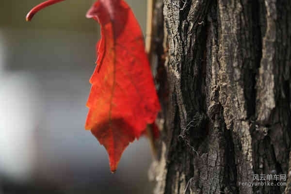 老学生-161029 125902.jpg