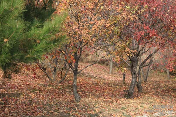 老学生-161029 141453.jpg