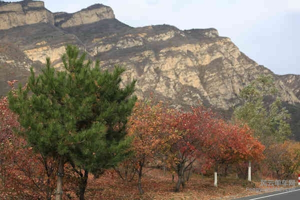 老学生-161029 141447.jpg