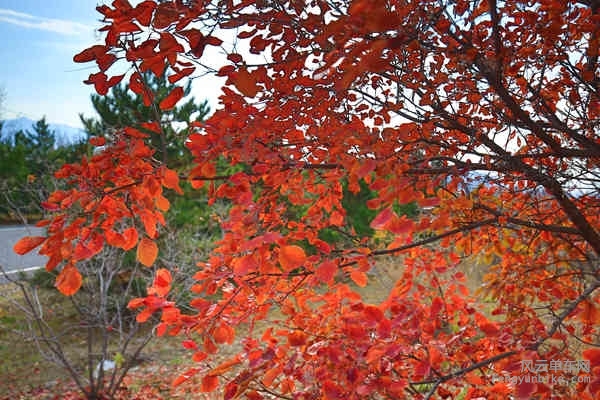 老学生-161029 142604_4.jpg