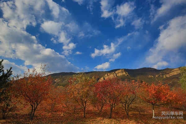 老学生-161029 143503_4.jpg