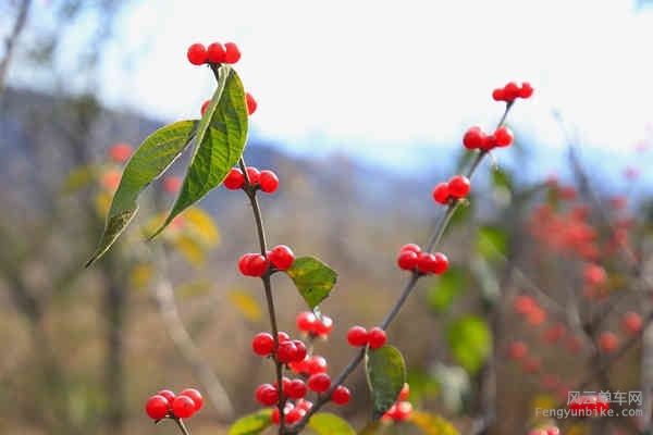 老学生-161029 142250.jpg