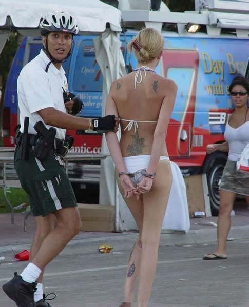 转个好玩的图片