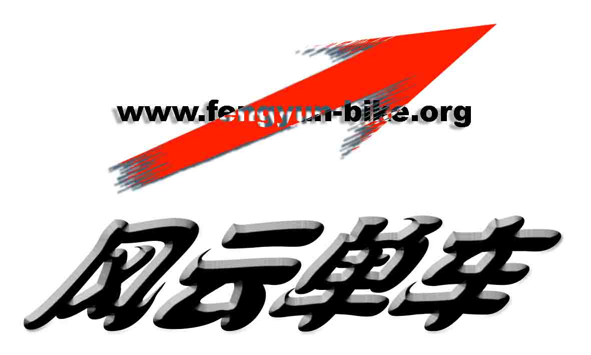 风云车标贴投票帖（截止日期4月20日）