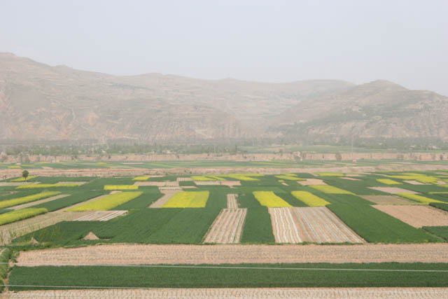 [注意]老闫与百事的单车新藏线