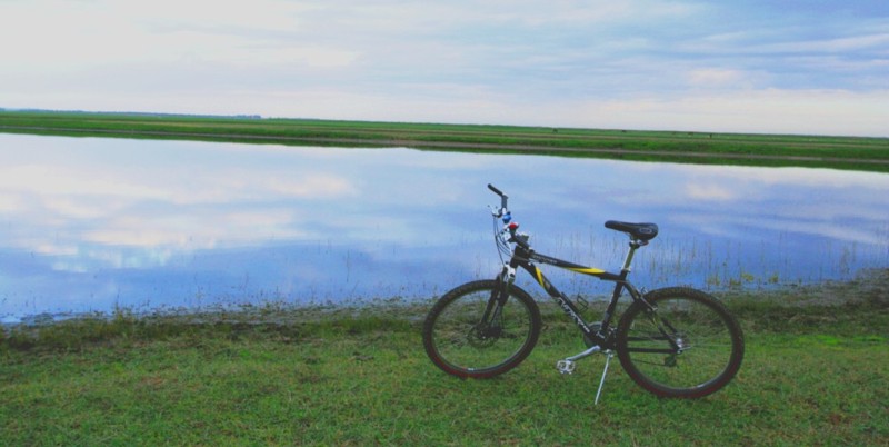 坝上草原和我的爱车