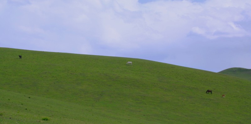 坝上草原和我的爱车