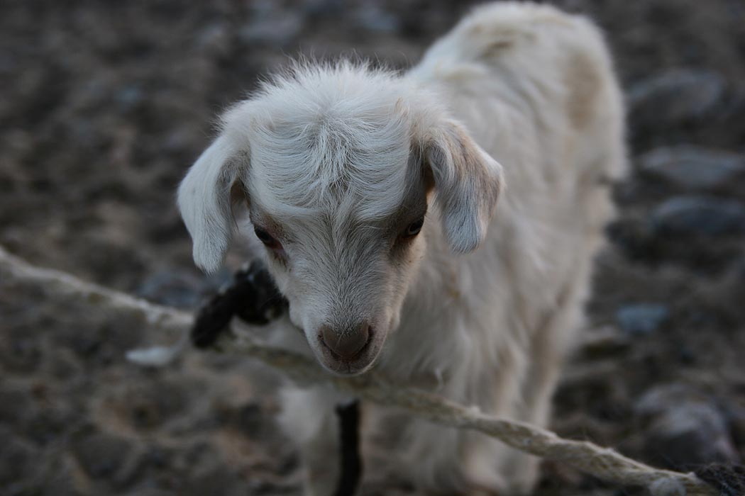 我们终于到拉萨了。