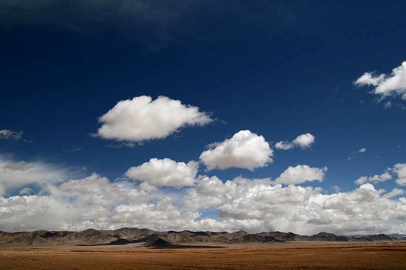 我们终于到拉萨了。。。。。。。。。。。。。。。。。。。。。。。