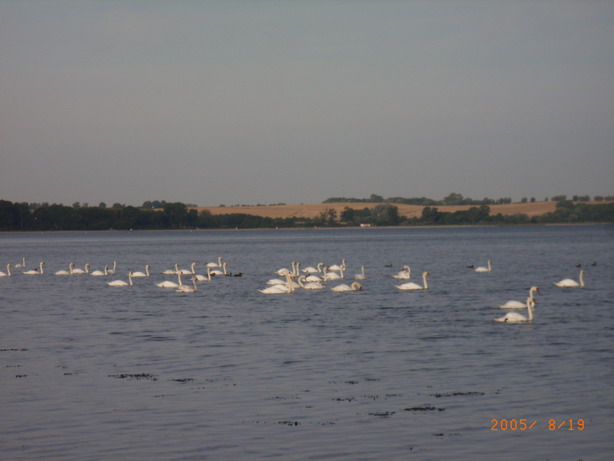 [原创]自行车欧游记