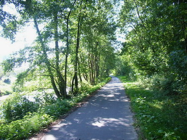 [原创]自行车欧游记