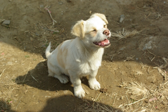 07年3月25日-太阳村公益骑行活动照片集！！！