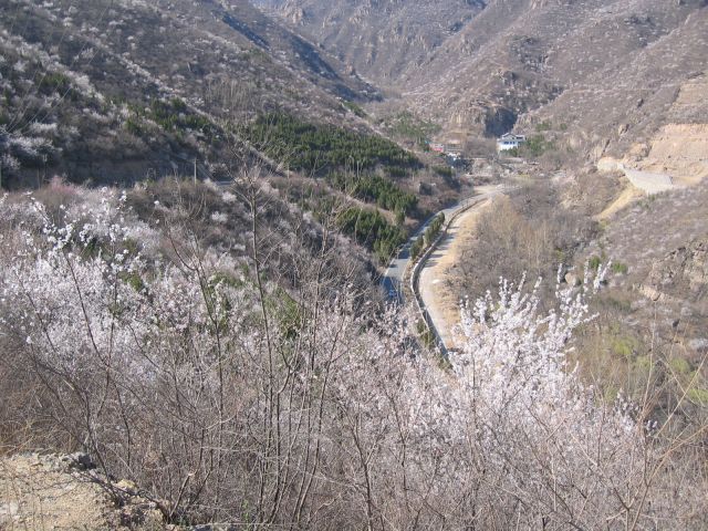 踏青妙峰，误入琉璃世界