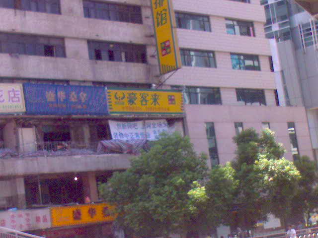 来自深圳的问候