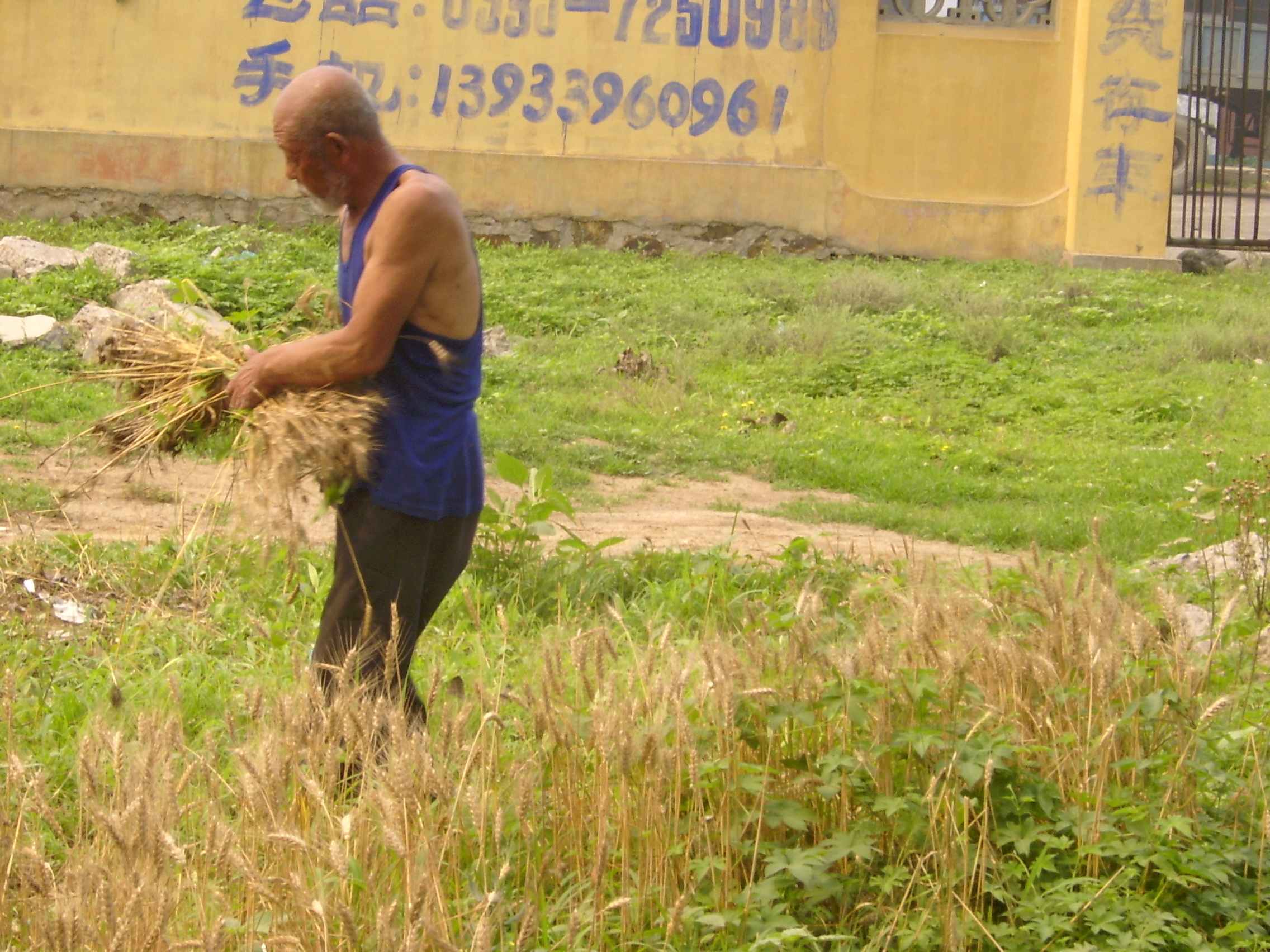 [贴图][原创]雪地和他哥大连游记（重新修订）