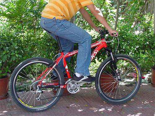 好像我比年初的时候又大很多！