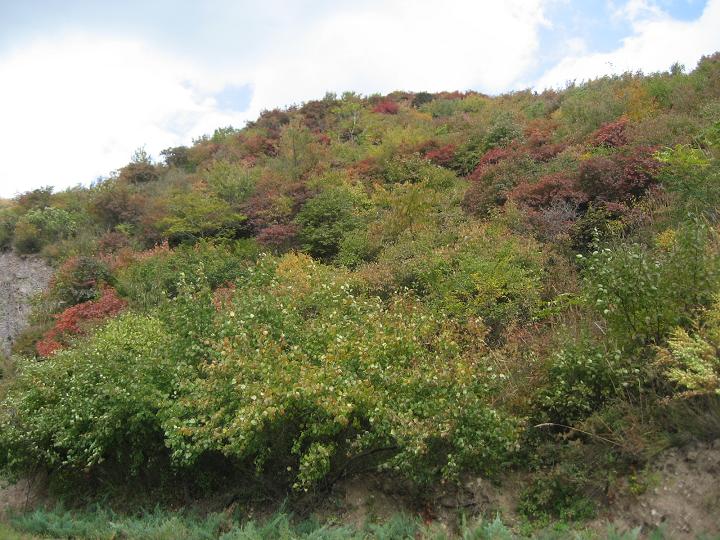 10月13日妙 042.jpg