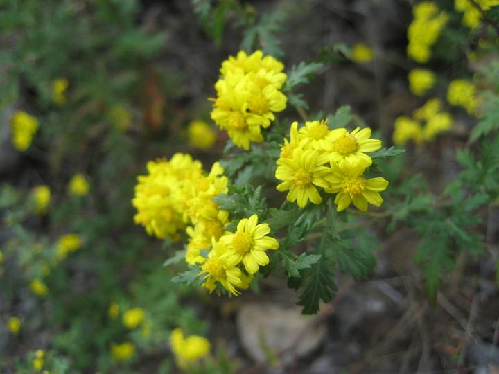 10月13日妙 049.jpg