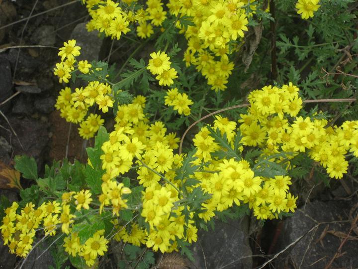 10月13日妙 048.jpg