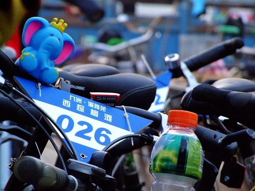 DSCF2381.jpg