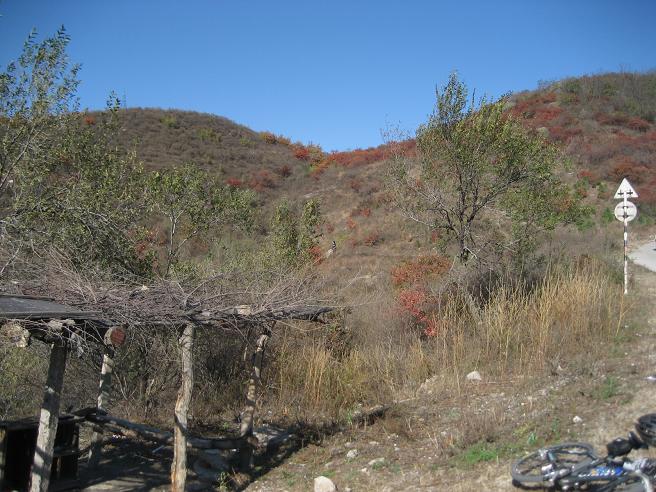 10月28日香山 035.jpg