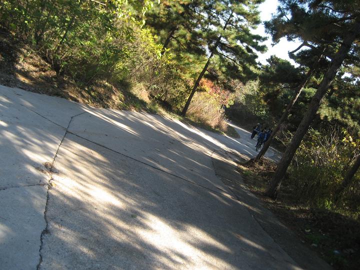 10月28日香山 007.jpg