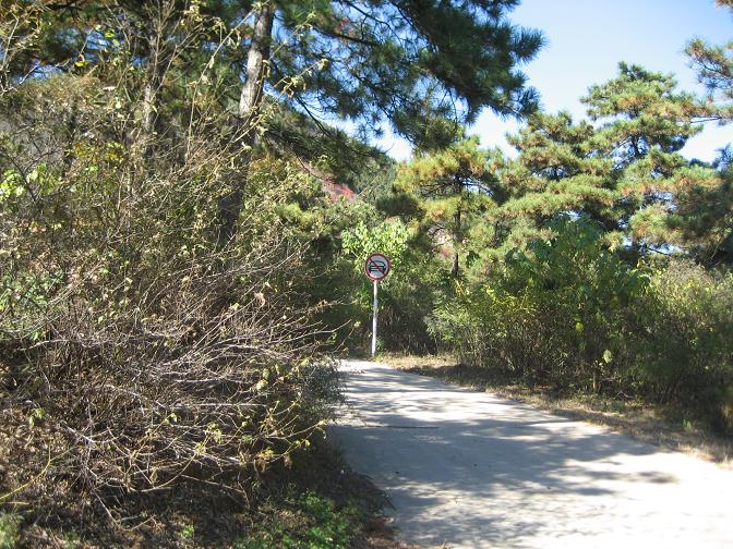 10月28日香山 009.jpg