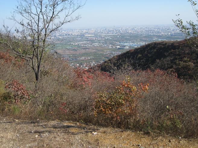 10月28日香山 048.jpg