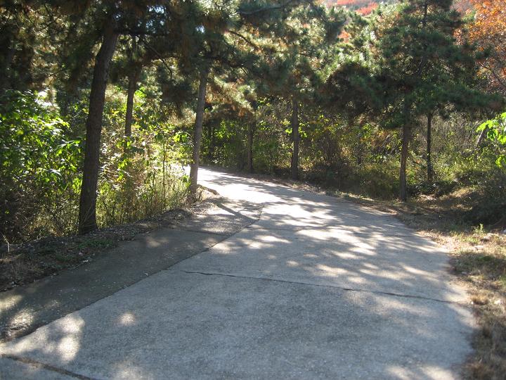 10月28日香山 008.jpg