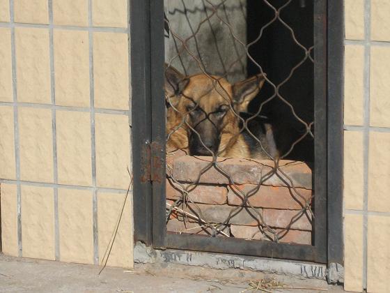 11月3日香山 092.jpg