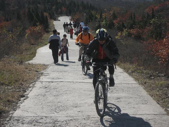 11月3日香山 065.jpg