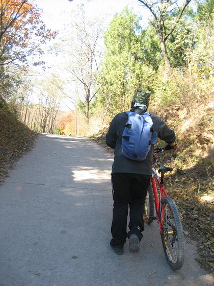 11月3日香山 042.jpg