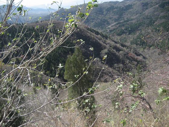 11月3日香山 070.jpg