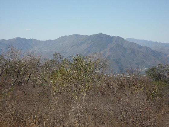 11月3日香山 053.jpg