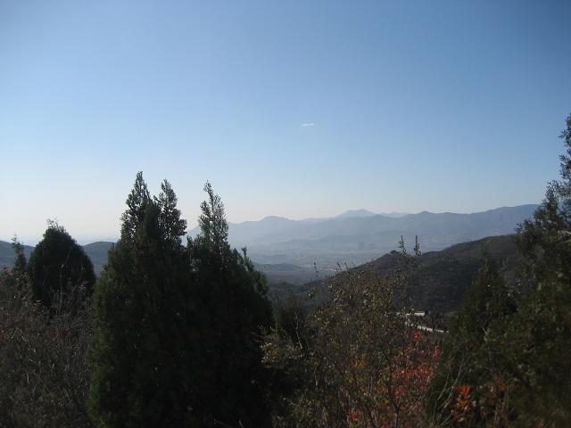 11月3日香山 069.jpg