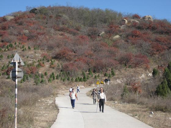 11月3日香山 054.jpg