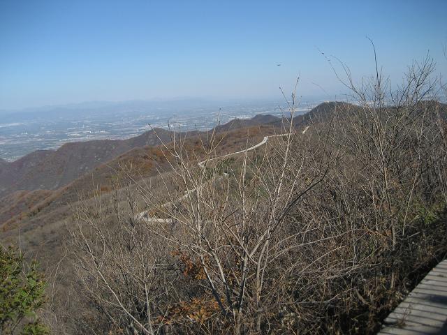 11月3日香山 086.jpg