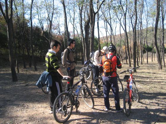 11月3日香山 031.jpg