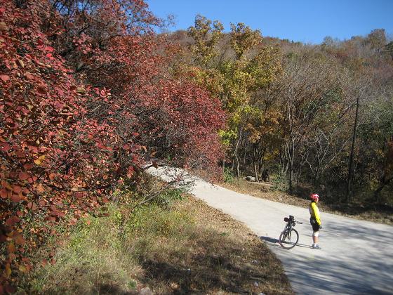 11月3日香山 037.jpg