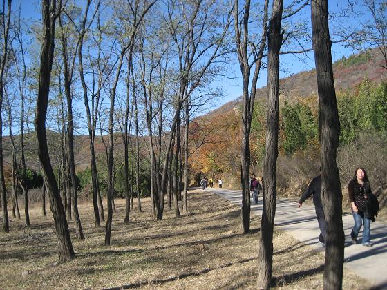 11月3日香山 030.jpg