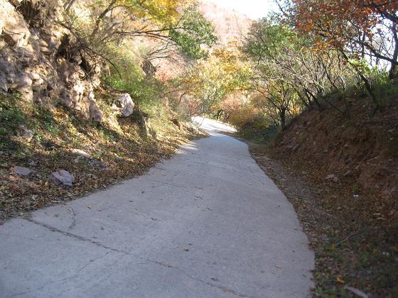 11月3日香山 034.jpg