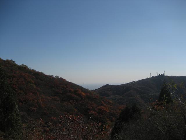 11月3日香山 068.jpg