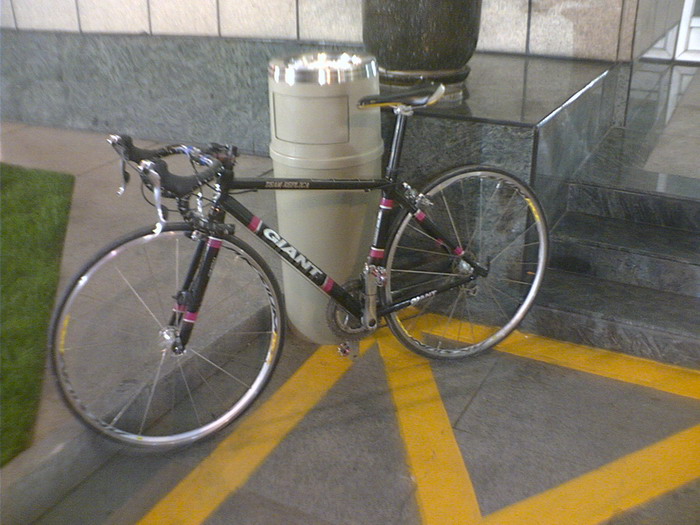 GIANT环法纪念车