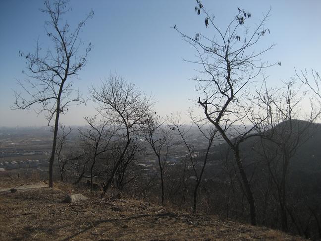 12月30香山 007.jpg