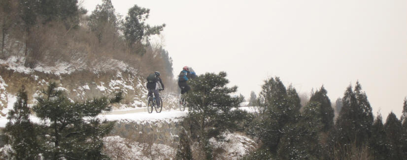 漫漫长路，有人同行