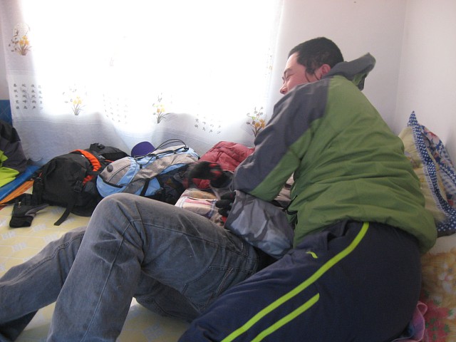 继续埃摔（倒霉的刺猬）