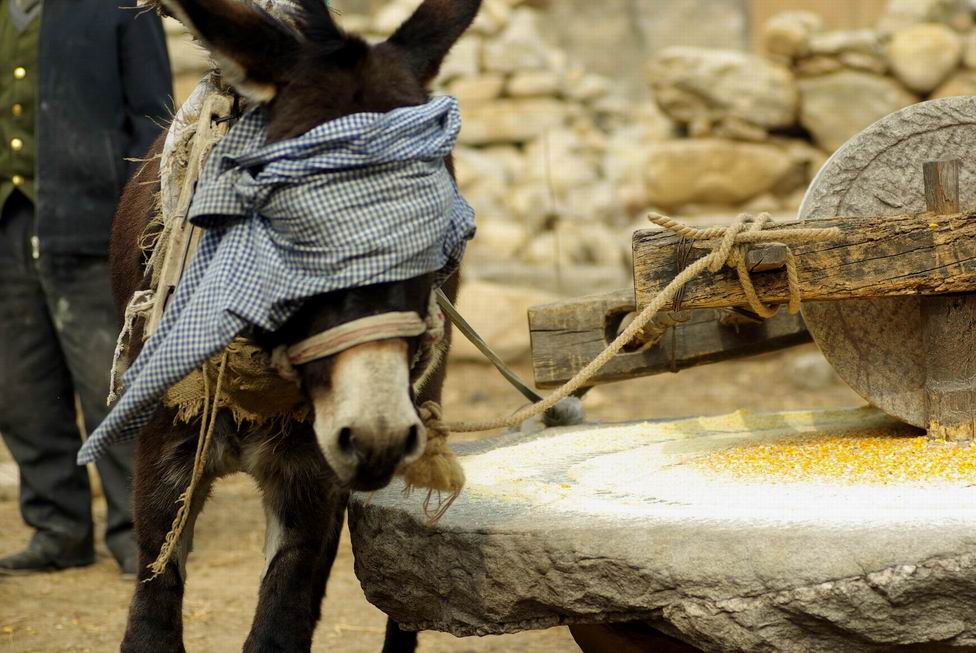 Resize of IMGP9238.JPG