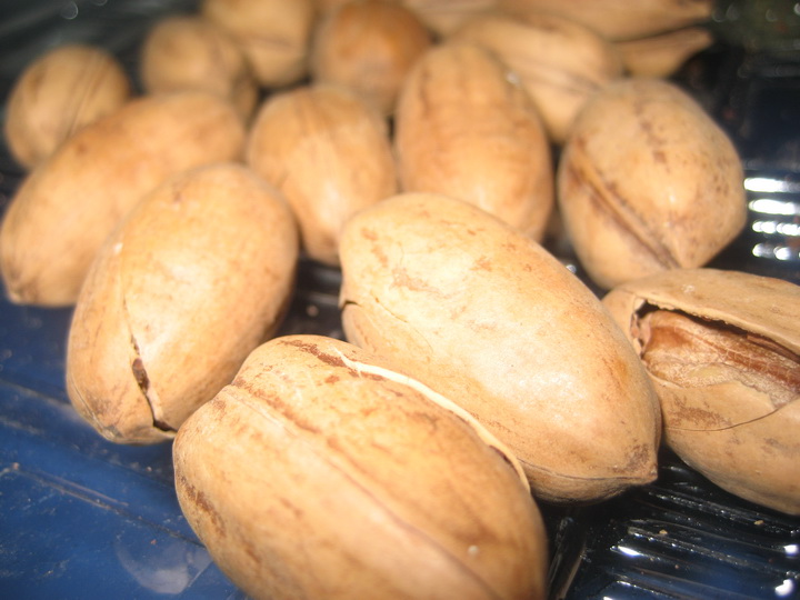 4月19妙峰山 027_调整大小.JPG